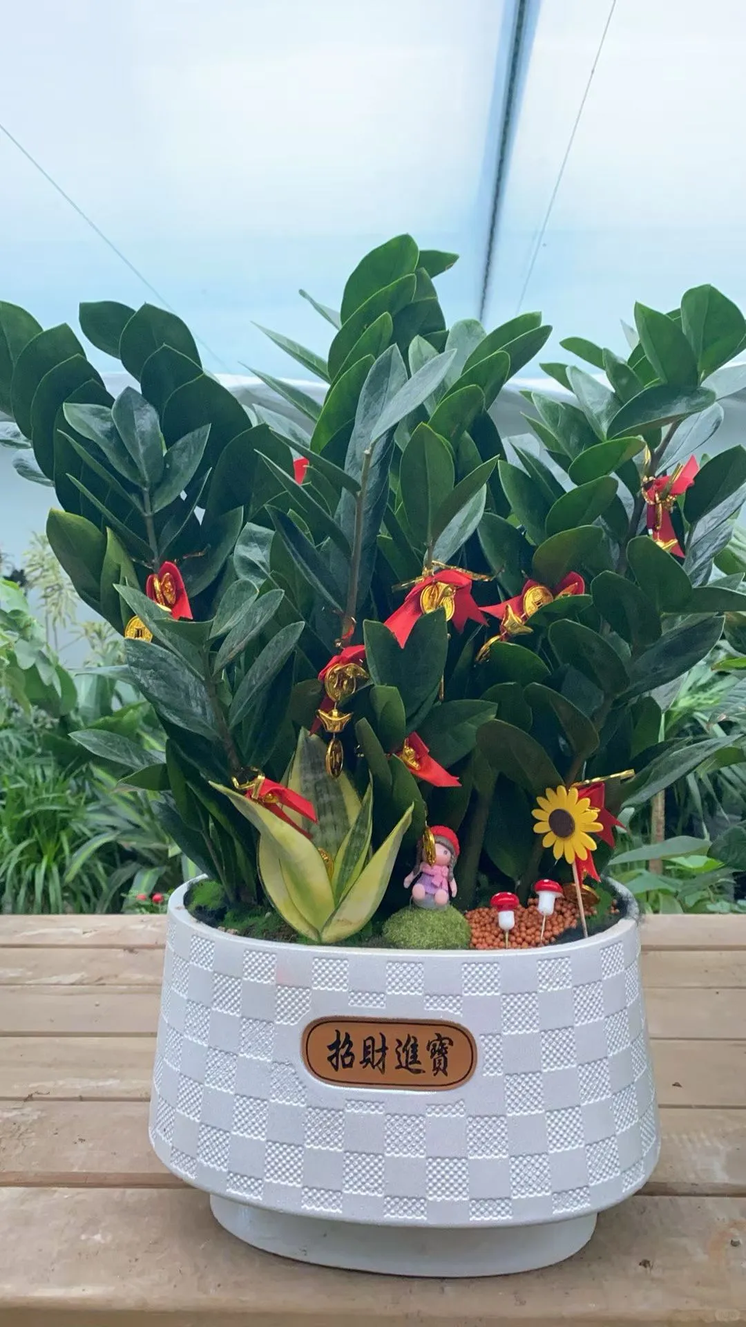 在黄岛属于你们的花卉基地