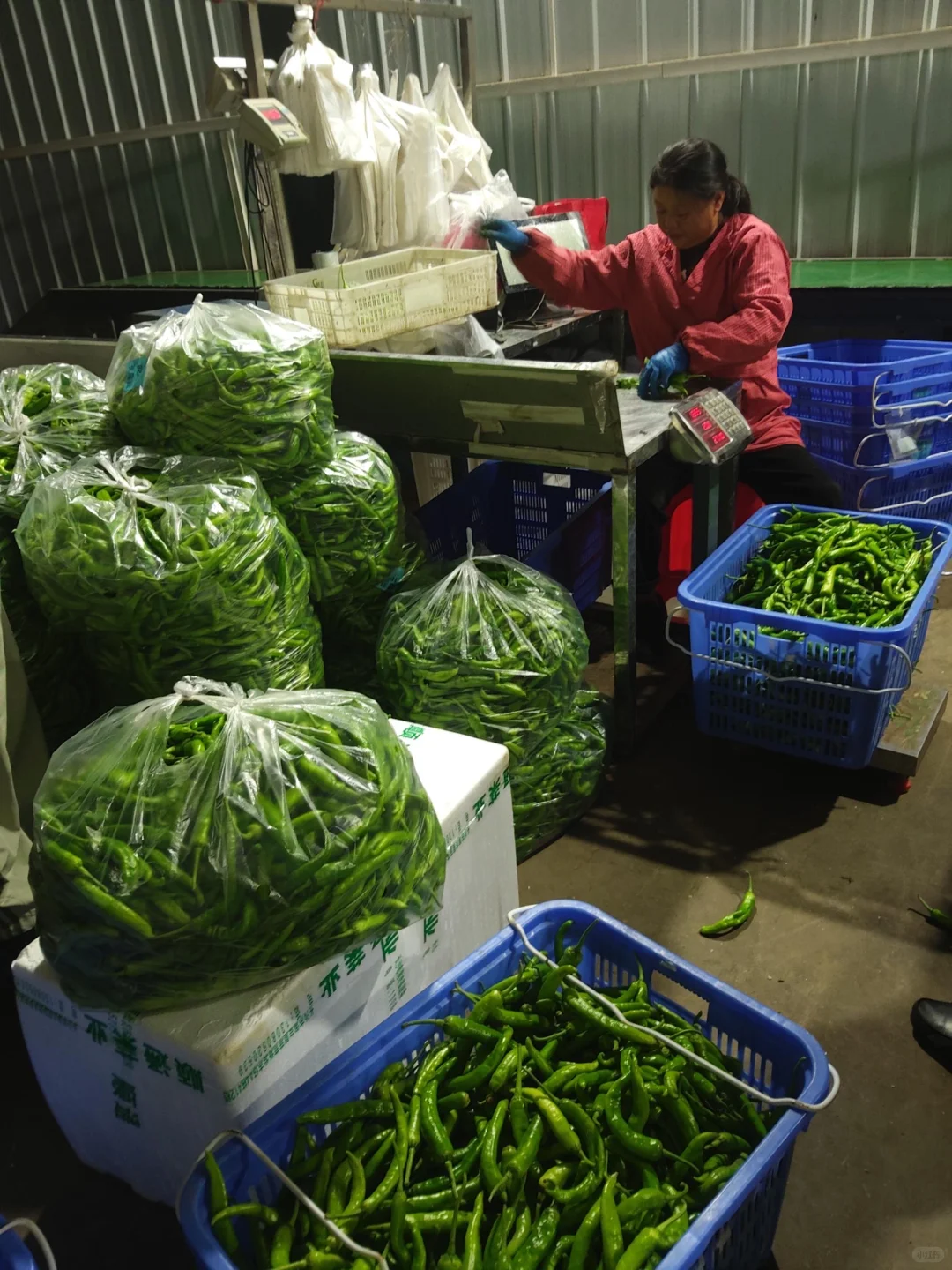 全品类食材配送