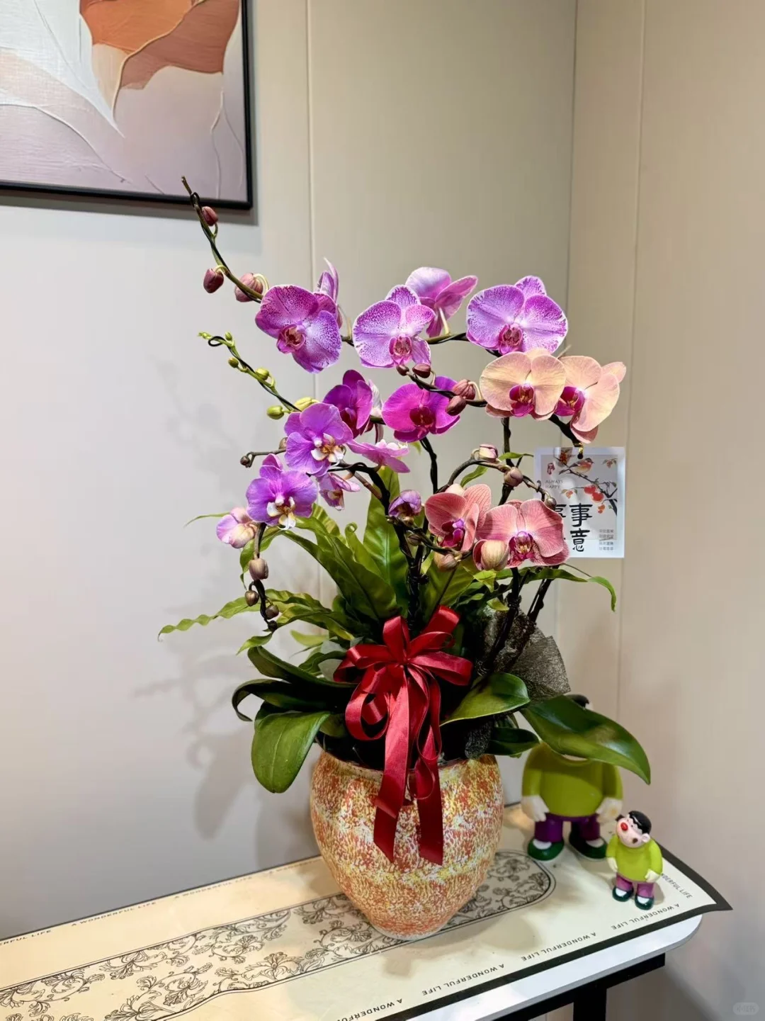 怎么会有这么美的兰花！