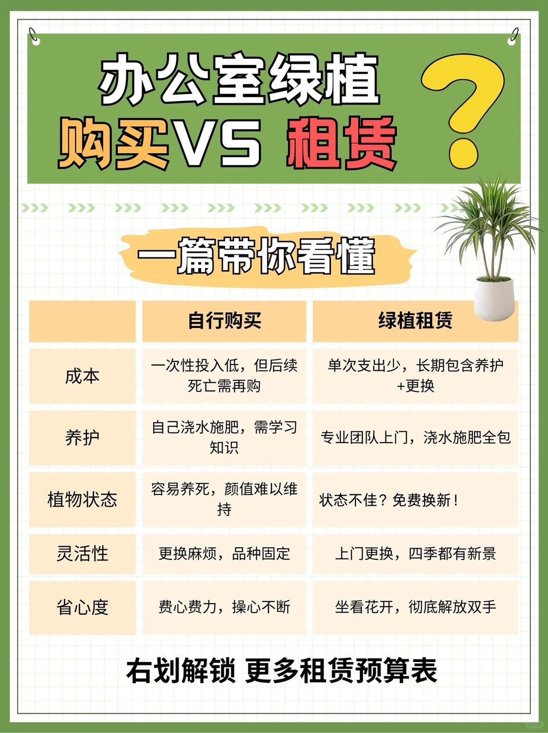 办公室绿植｜购买VS租赁，看完不再纠结！