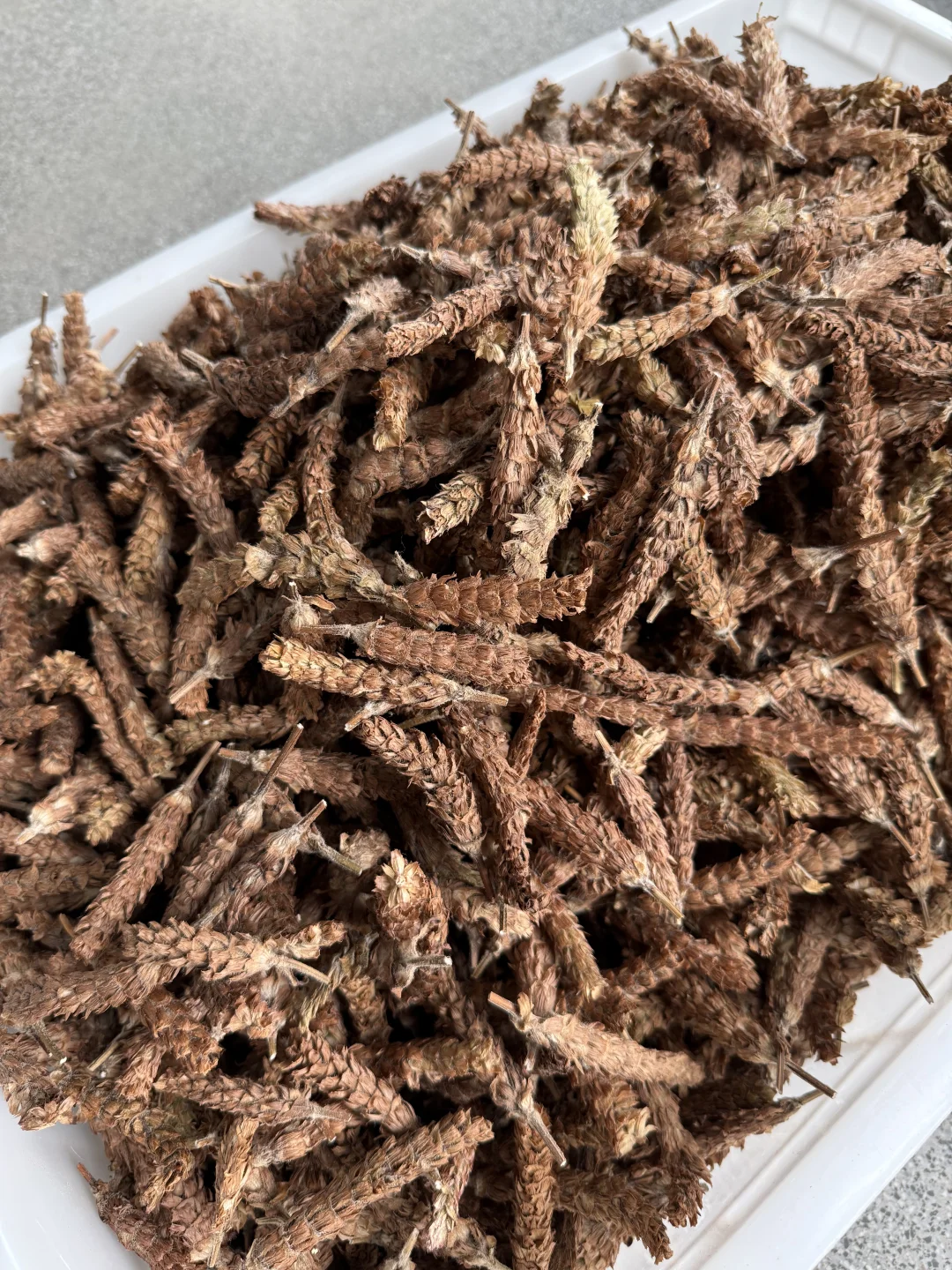 今日加工的小东西～