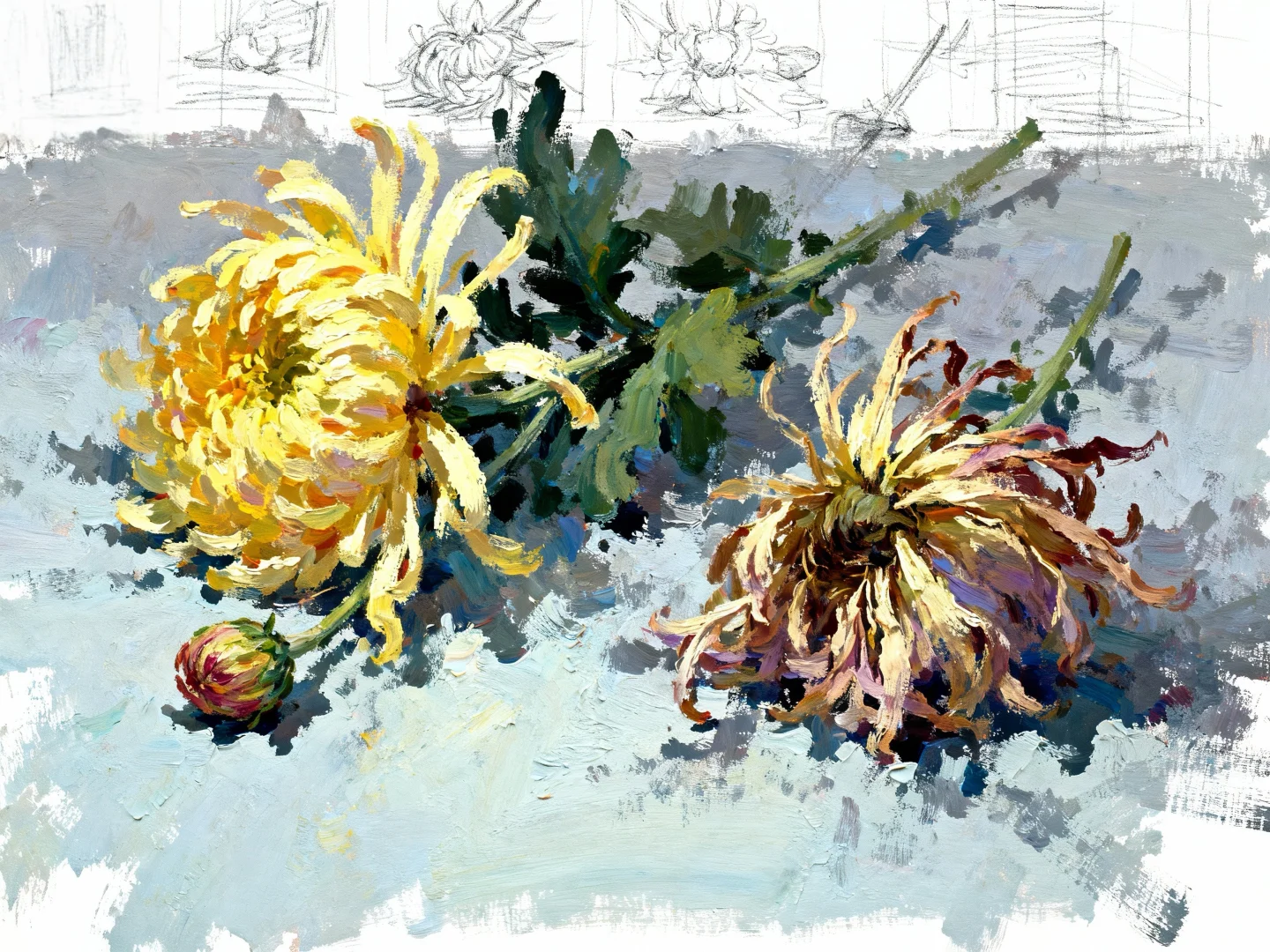 花卉绿植联考常考的花卉合集