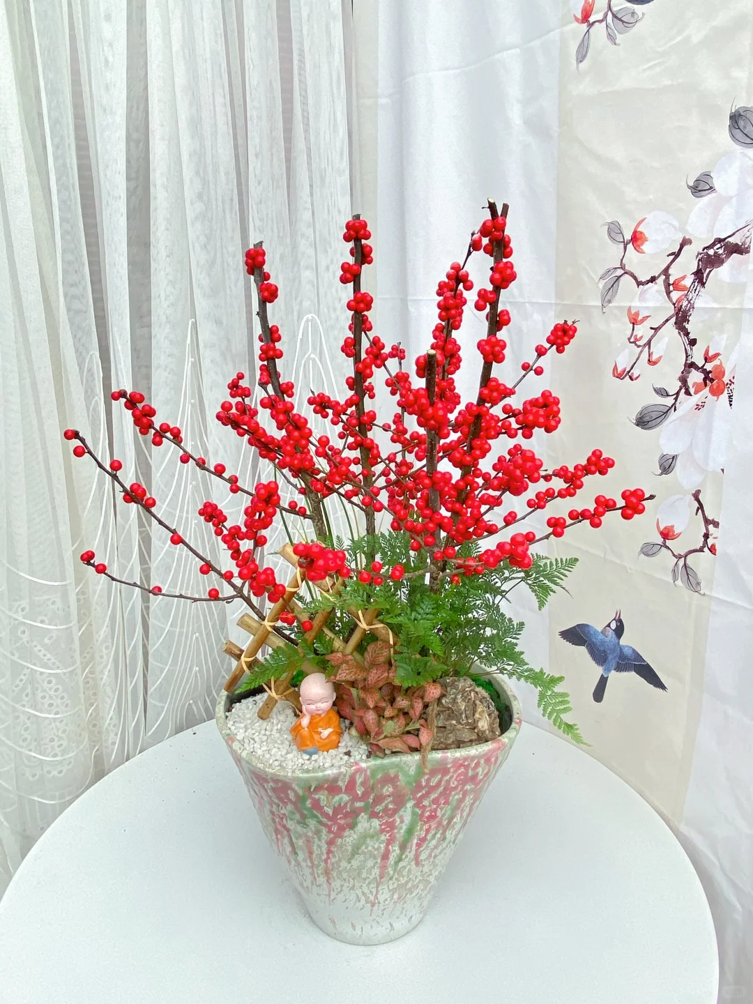 北美冬青精品盆栽上新