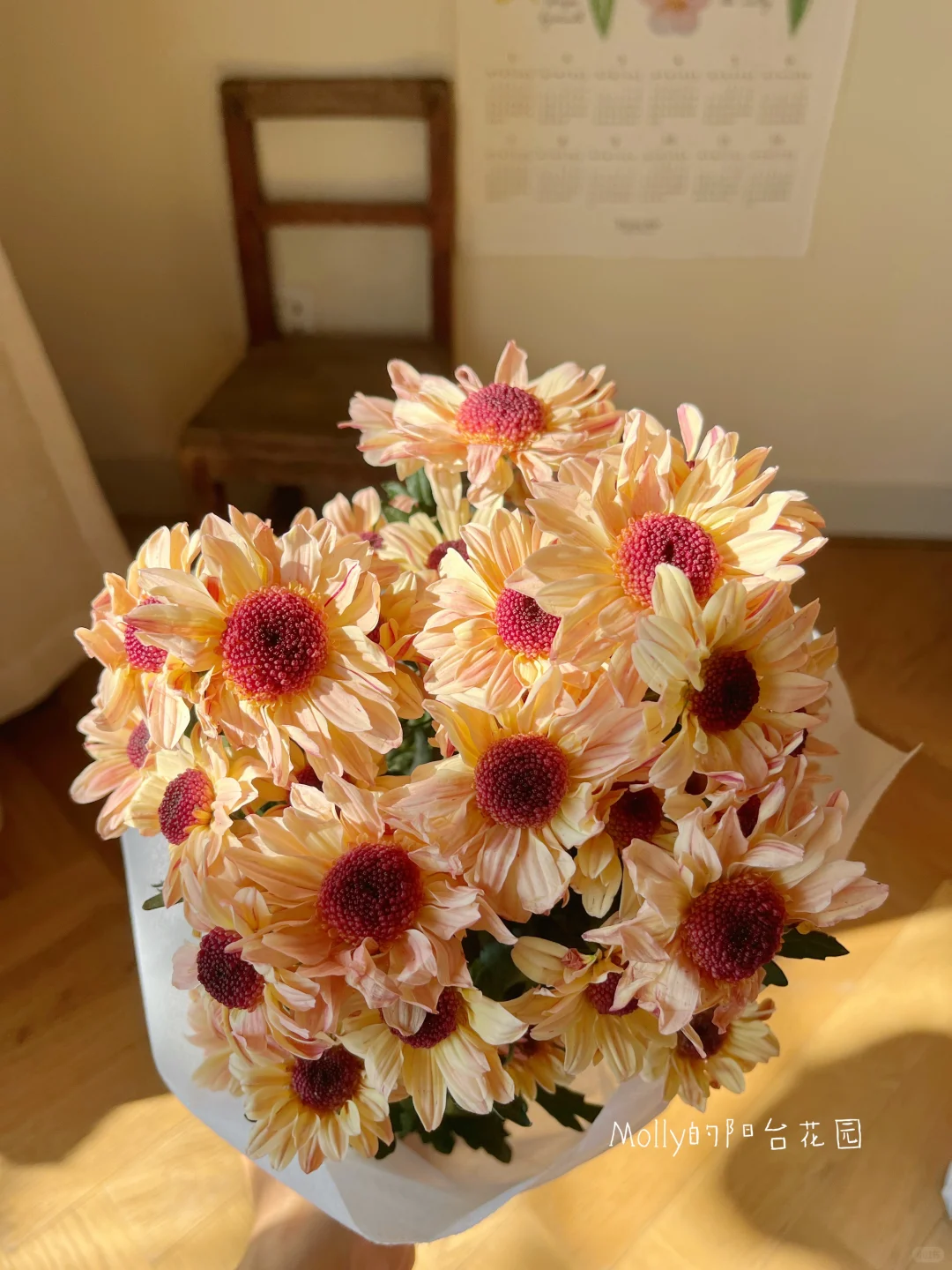 开箱了两盆让我快乐一整天的花花✌️