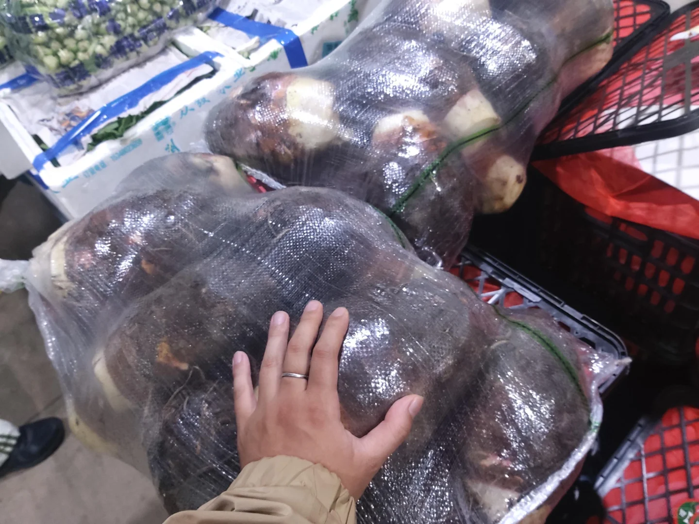 全品类食材配送