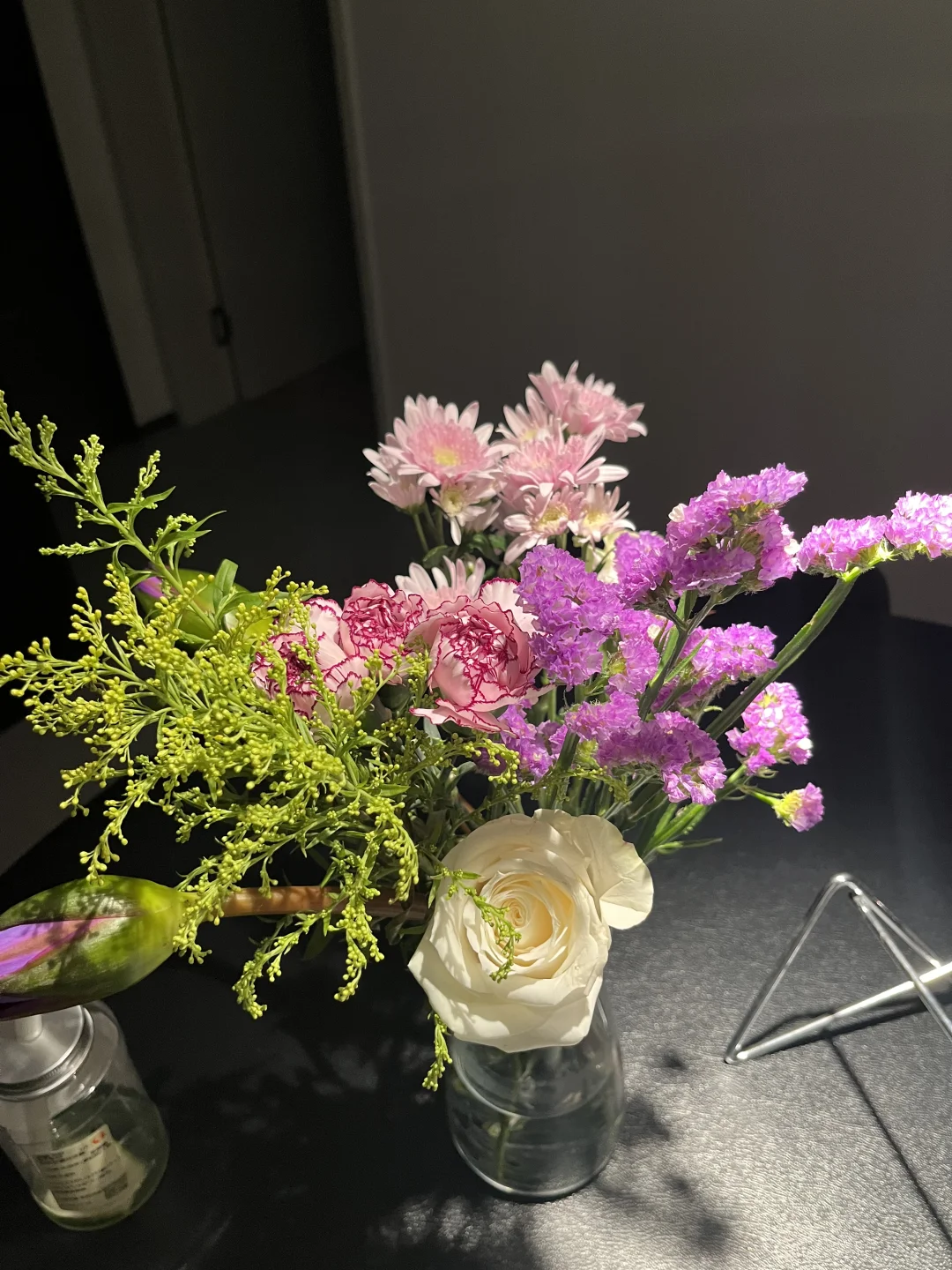 家里不能没有绿植！