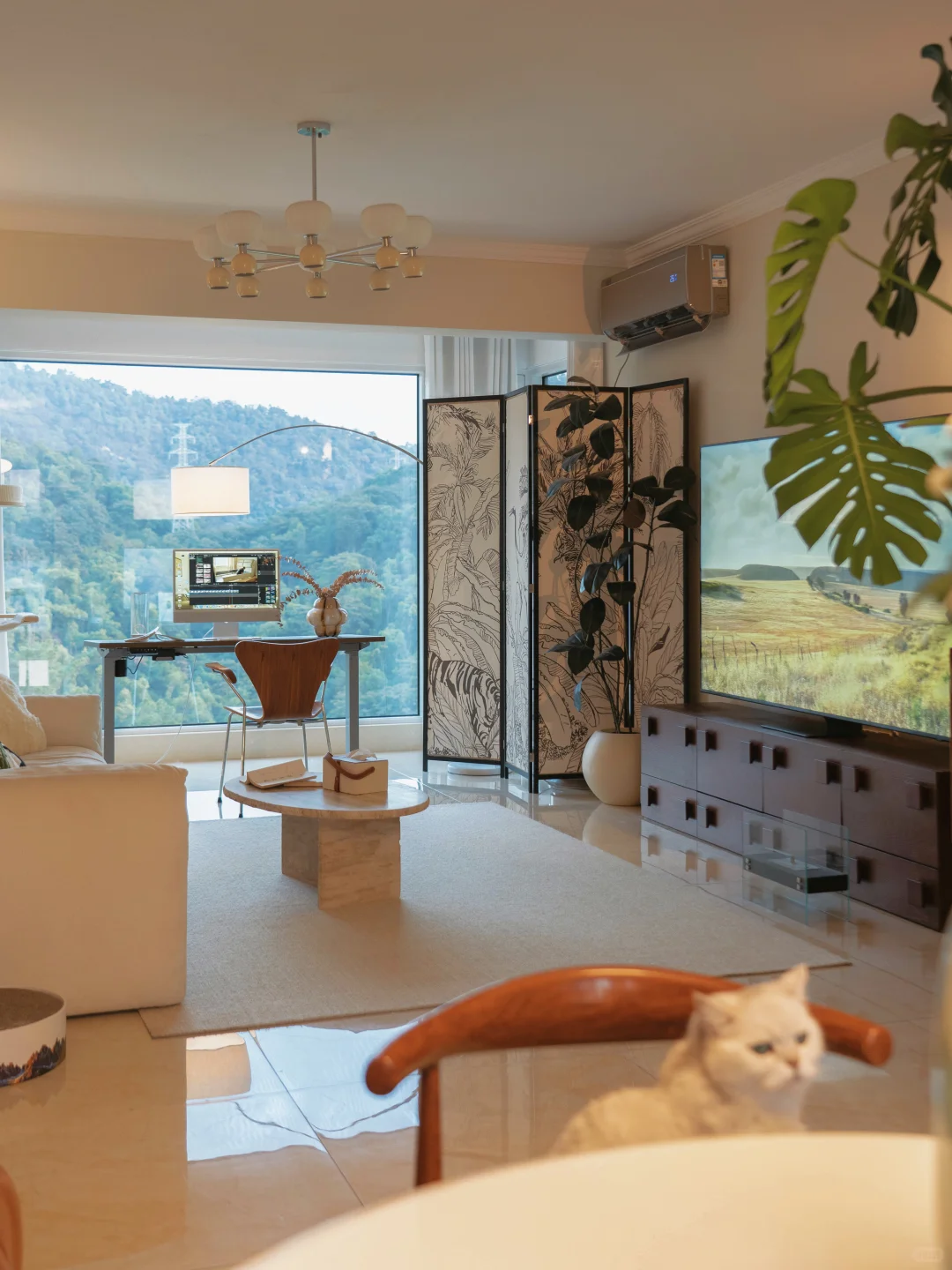 帮房东装完落地窗后，出租屋让我住成了家