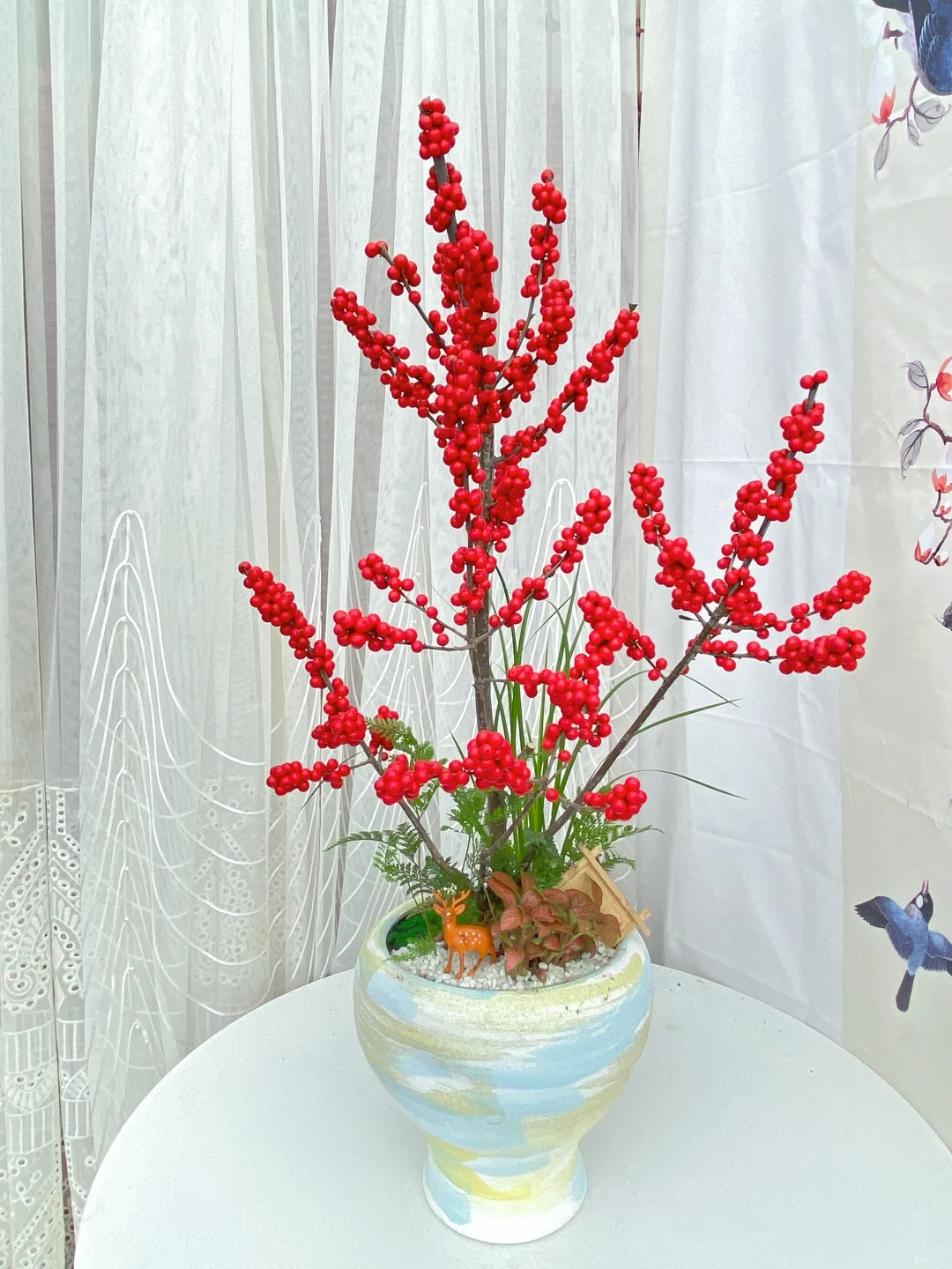 北美冬青精品盆栽上新