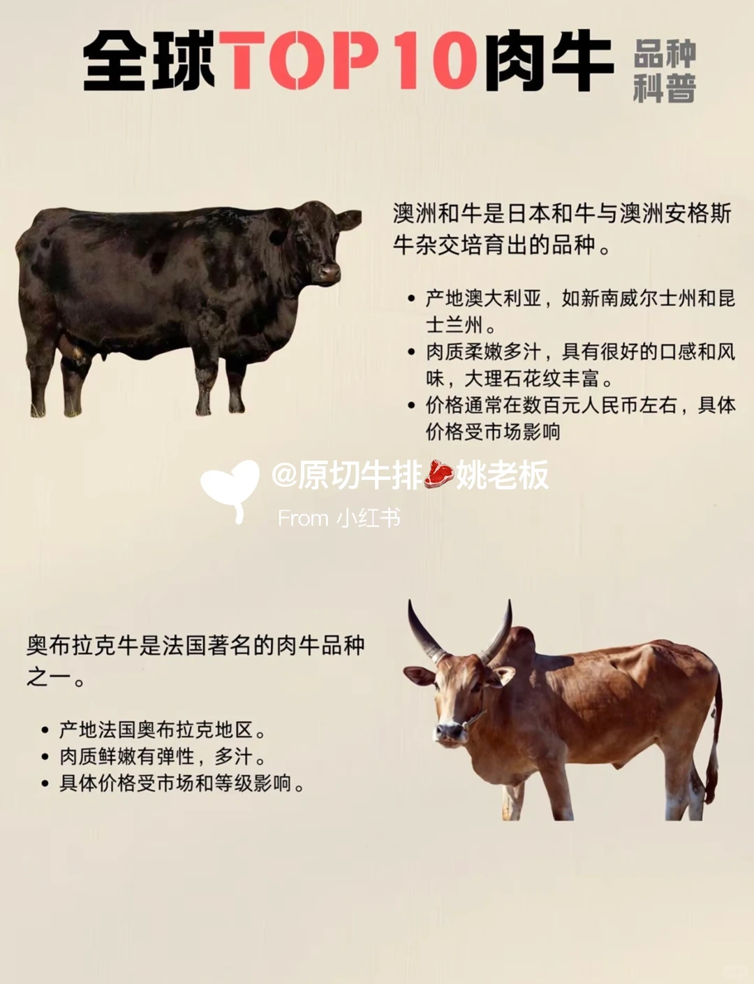 科普全球牛肉品种大合集！