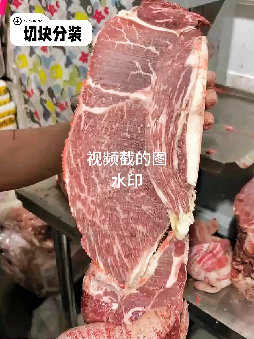 给狗吃的牛肉 大块牛肉