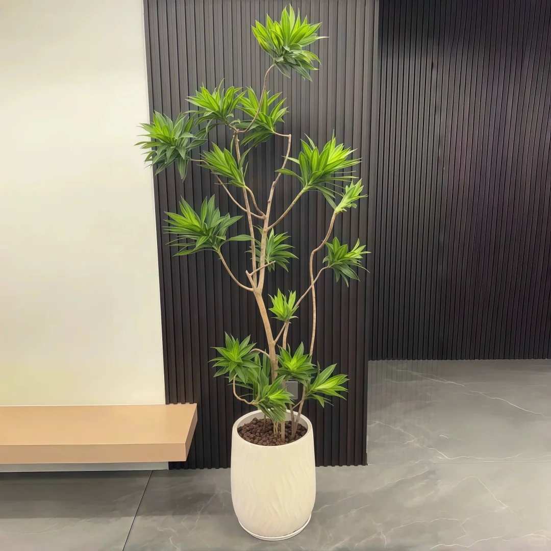 深圳绿植租赁批发同城两小时送达