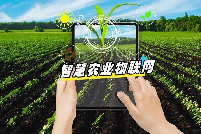 智慧农业物联网系统开发 绿色农业自控发展