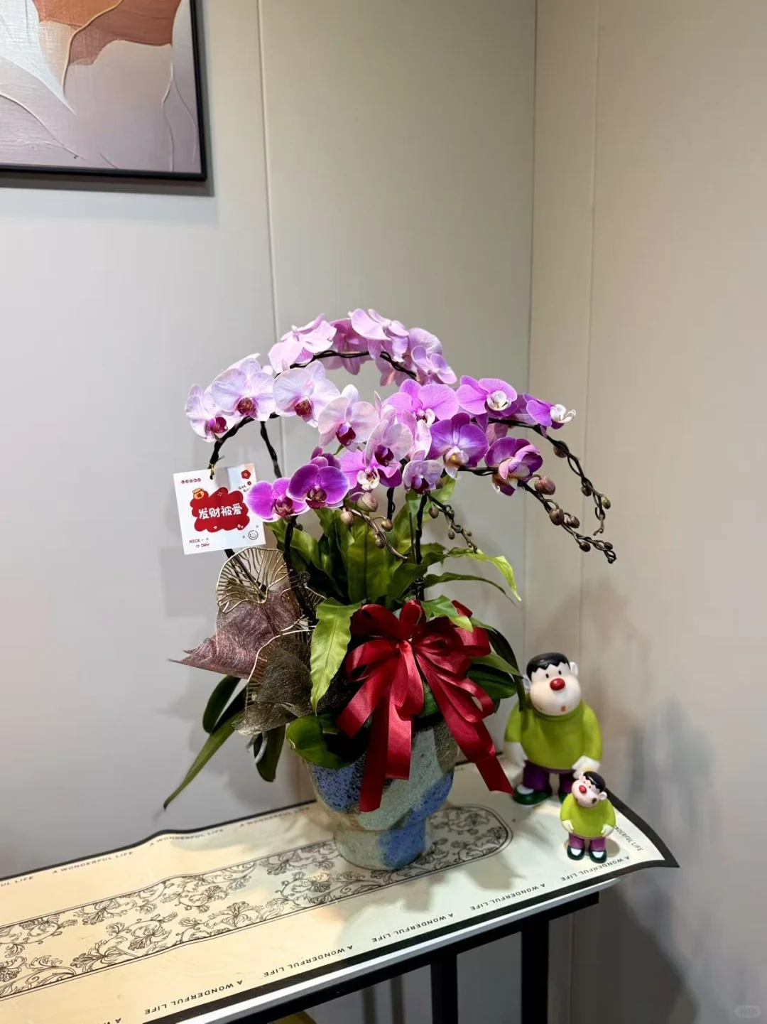 怎么会有这么美的兰花！