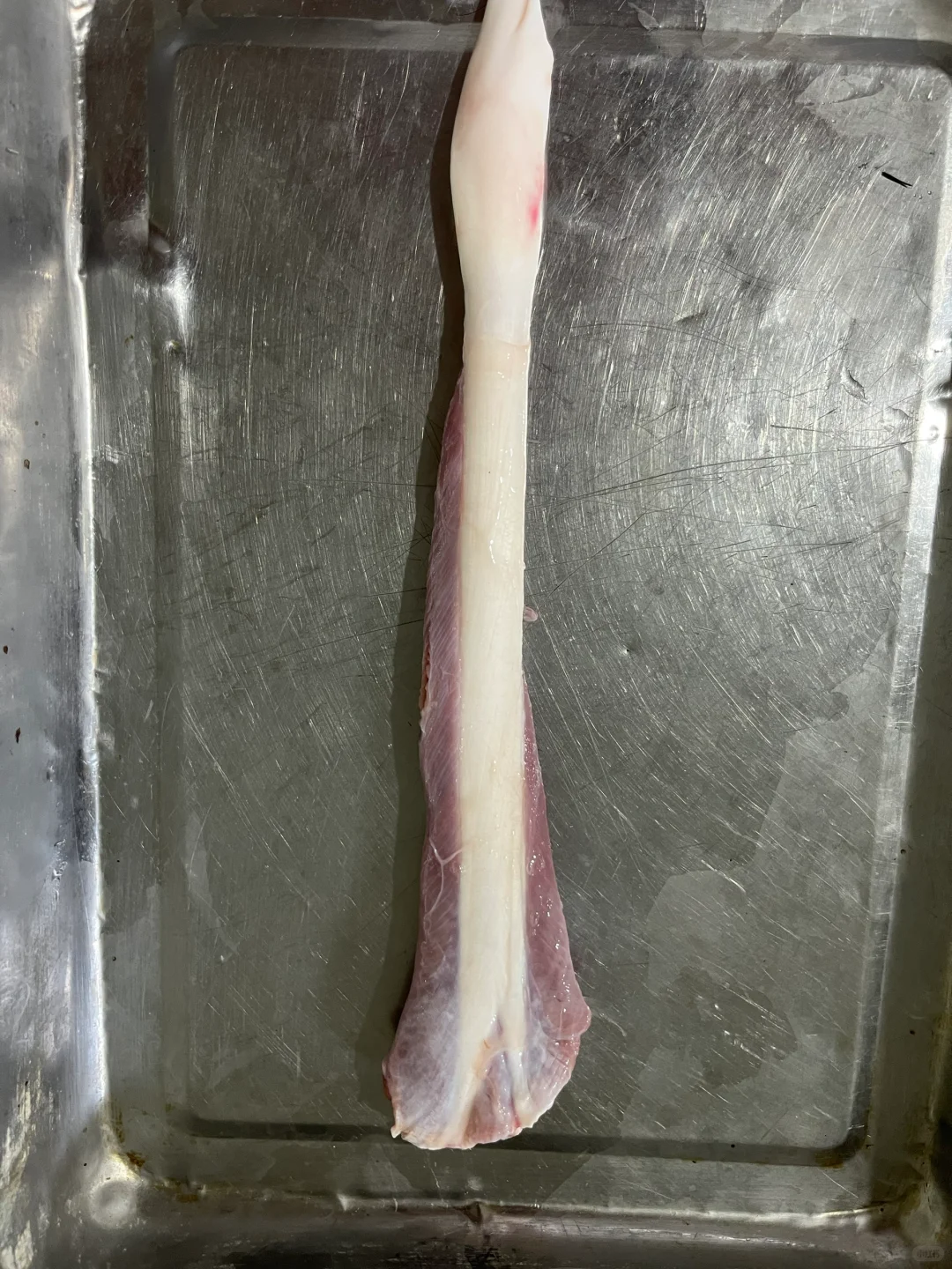 有要的鸵鸟肉的联系