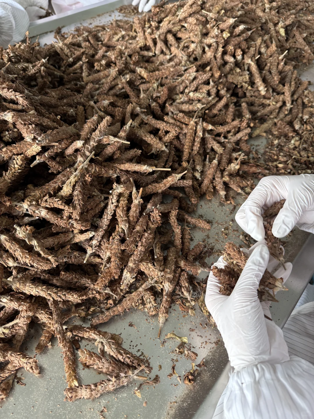 今日加工的小东西～