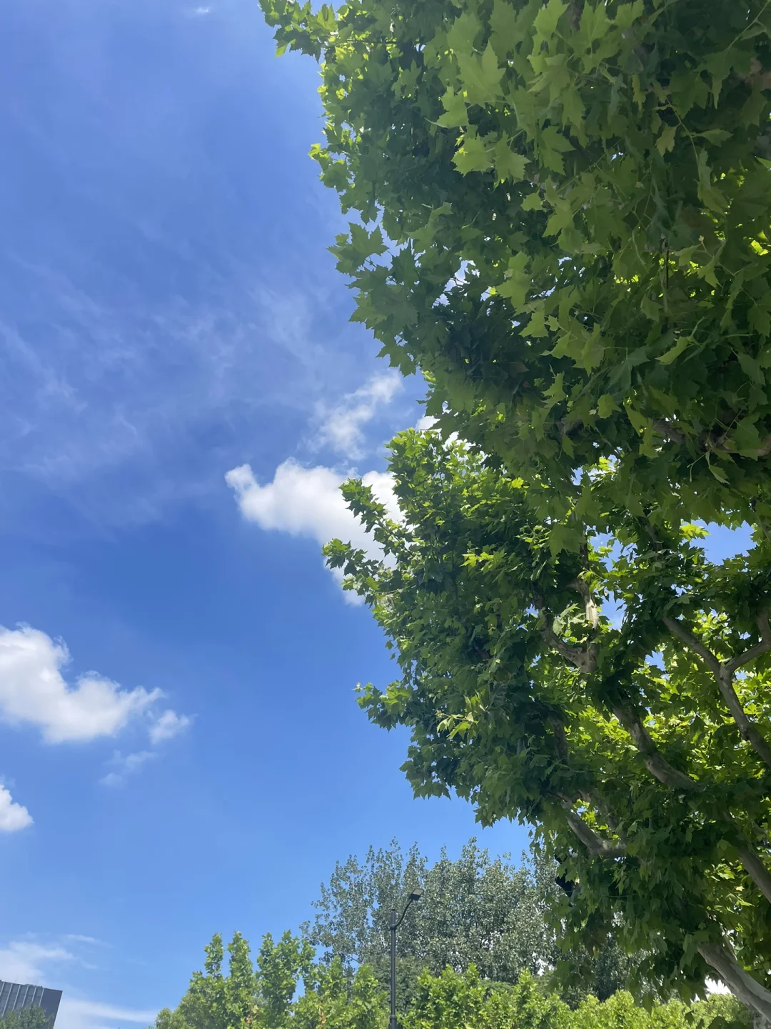 上市公司法务｜快速掌握上市公司关键合规技