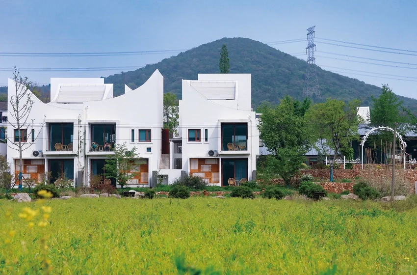 ✨逃离城市！超治愈的乡村文旅玩法?