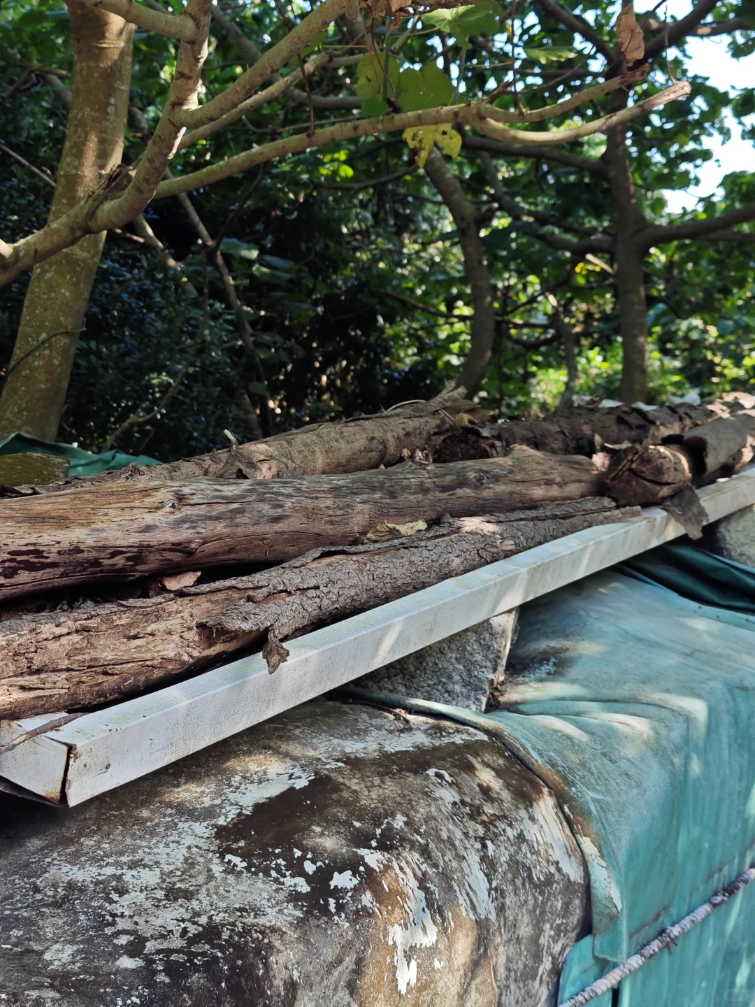 西贡村｜是他乡，也是回不去的故乡