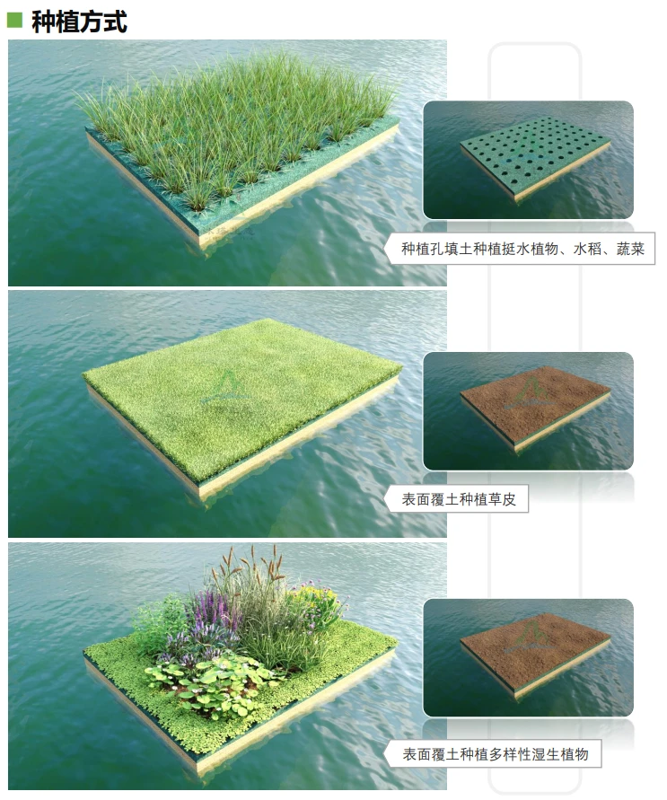 浮动湿地,让水质净化与生态美化同步实现