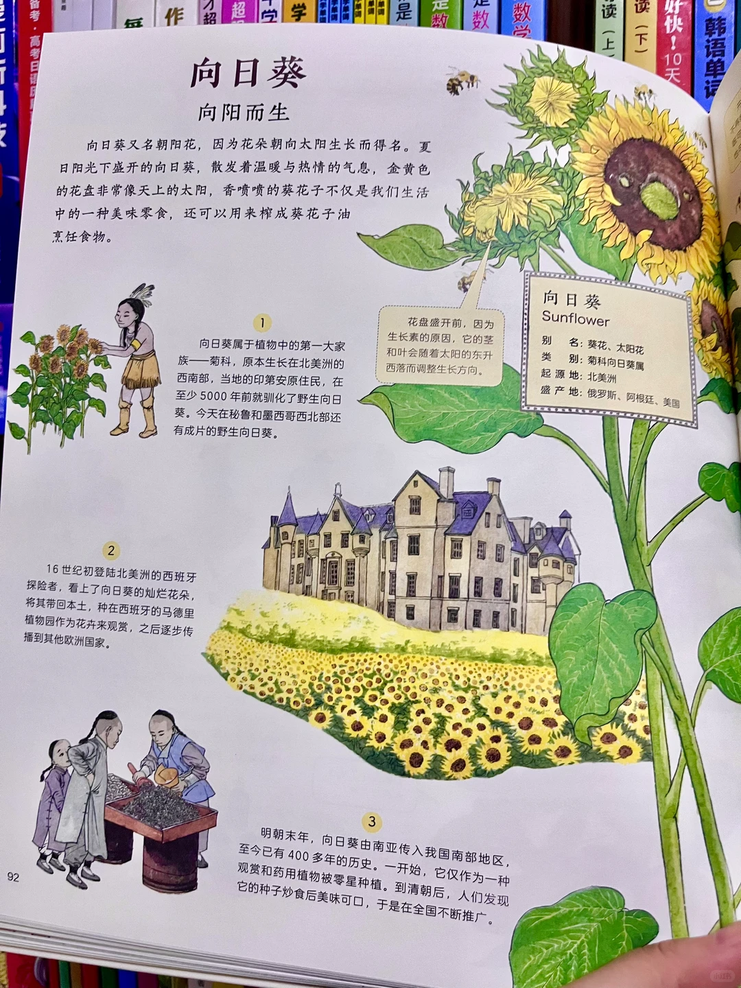 咋办呀!我真的沉醉在这绘本里了!命根子书!!