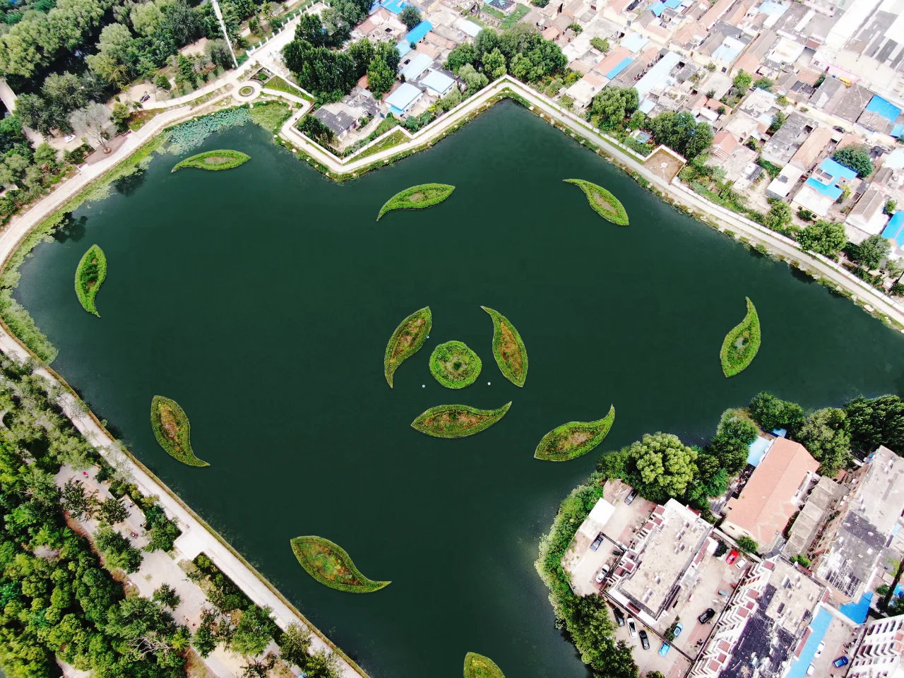 浮动湿地,让水质净化与生态美化同步实现
