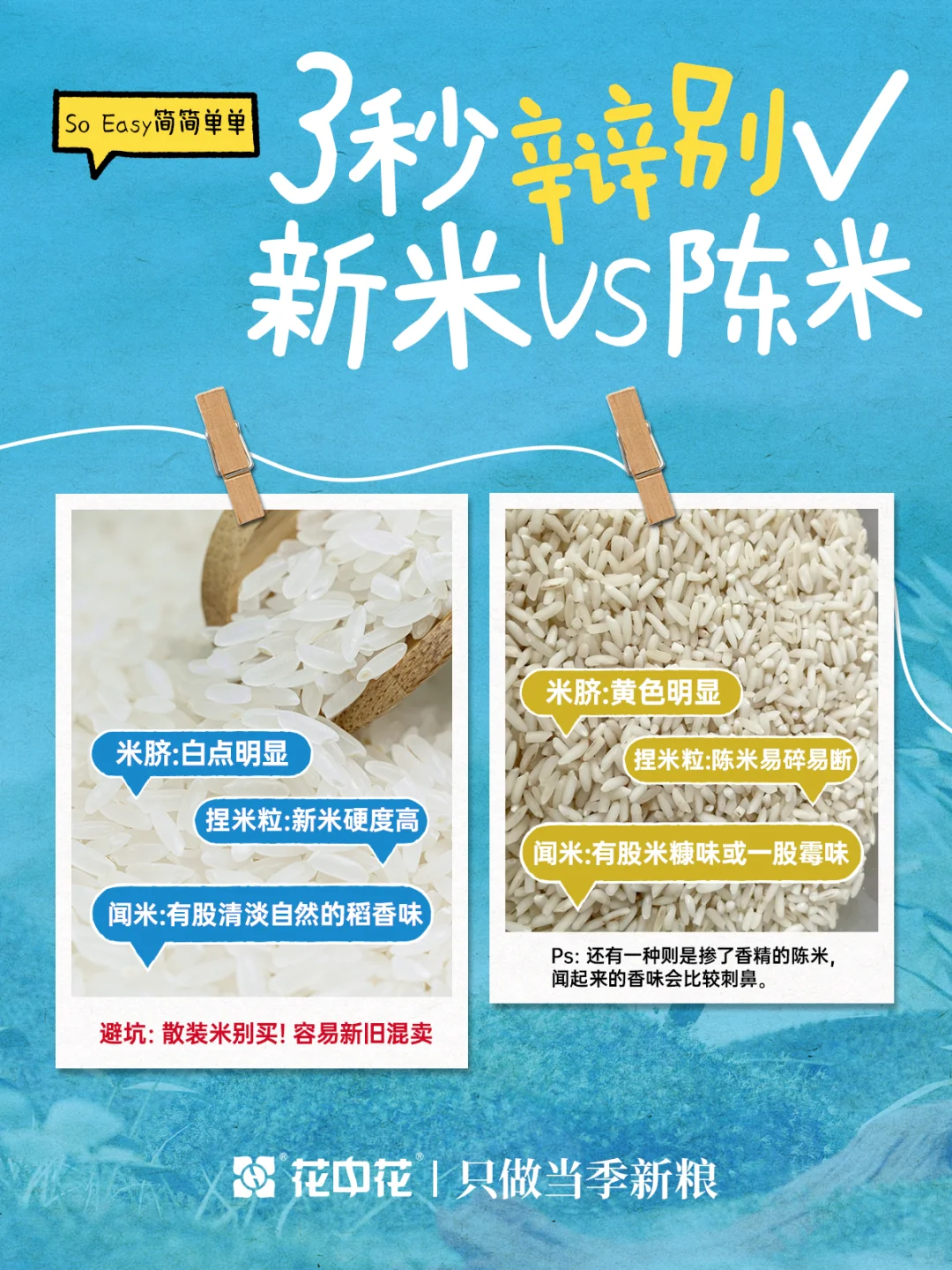 干饭人?过来 一篇教会你选出梦中情米!