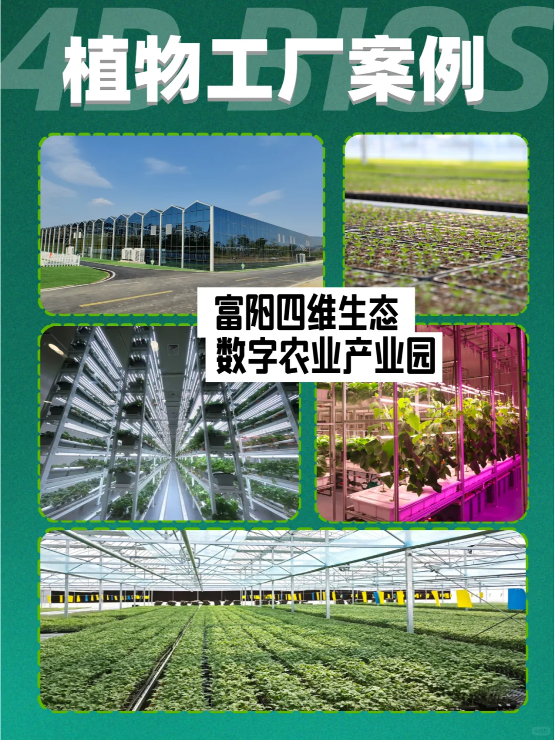 未来式农业，走进四维生态看看农业黑科技！