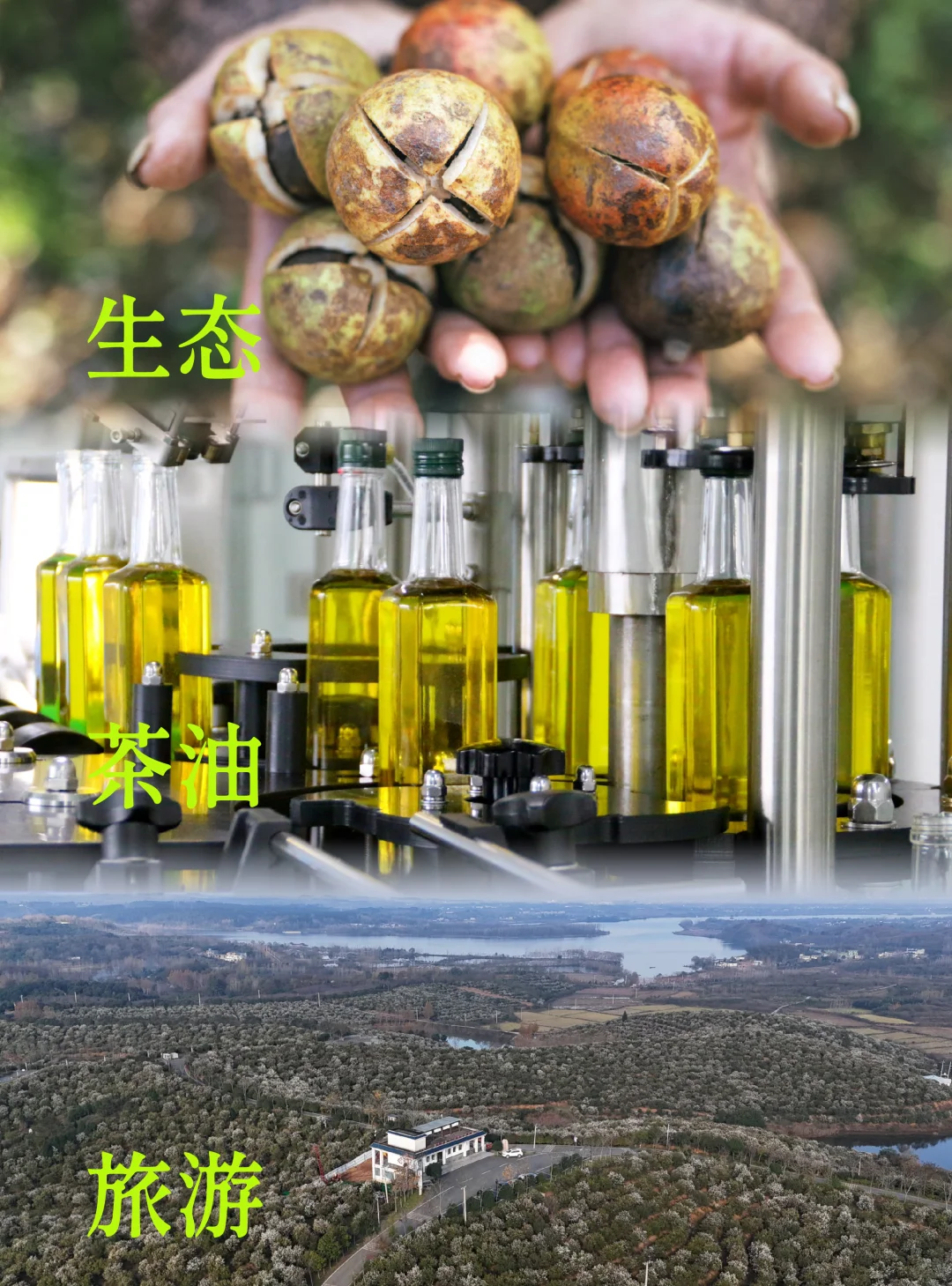 你好，联兴｜Vo.3 硕果累累，继往开来