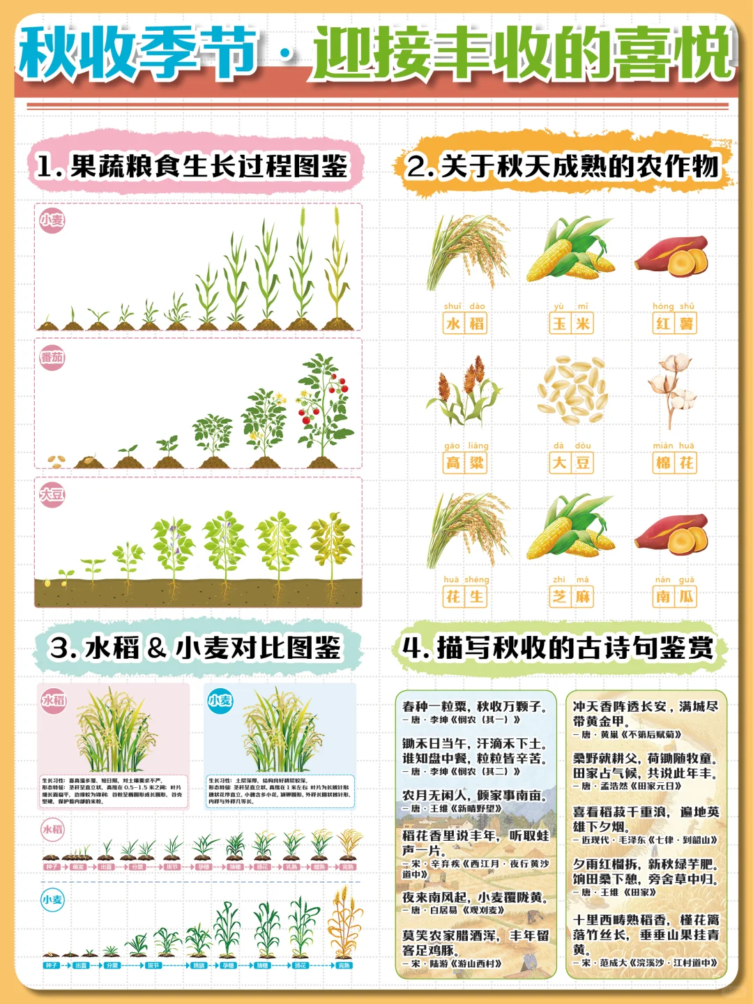 粒粒皆辛苦?让孩子了解丰收背后的故事