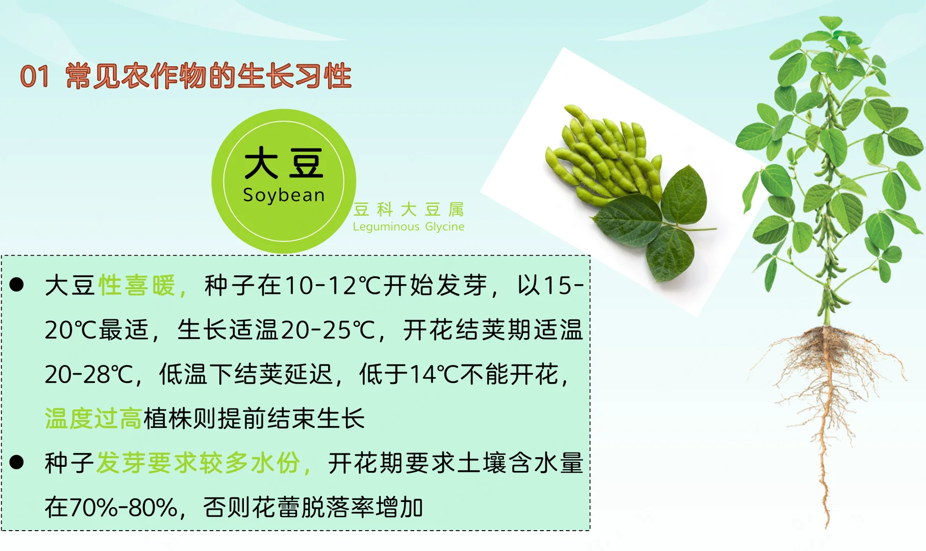 地理热点：常见农作物的生长习性