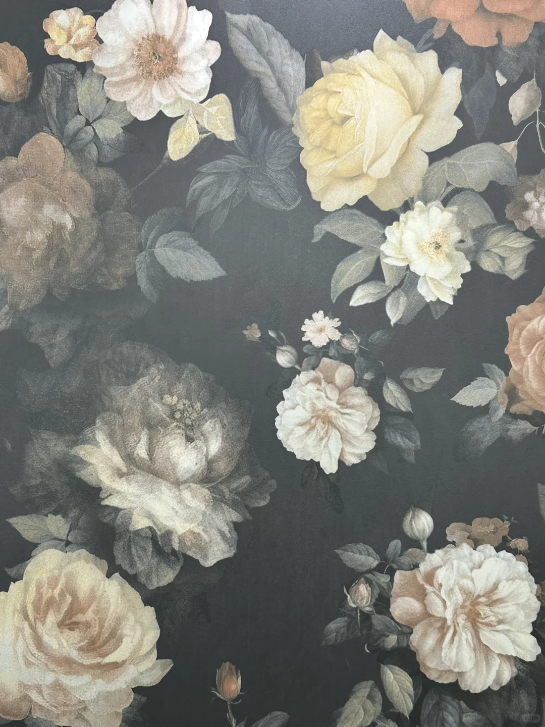 ✨乌鲁木齐全案设计师选材plog