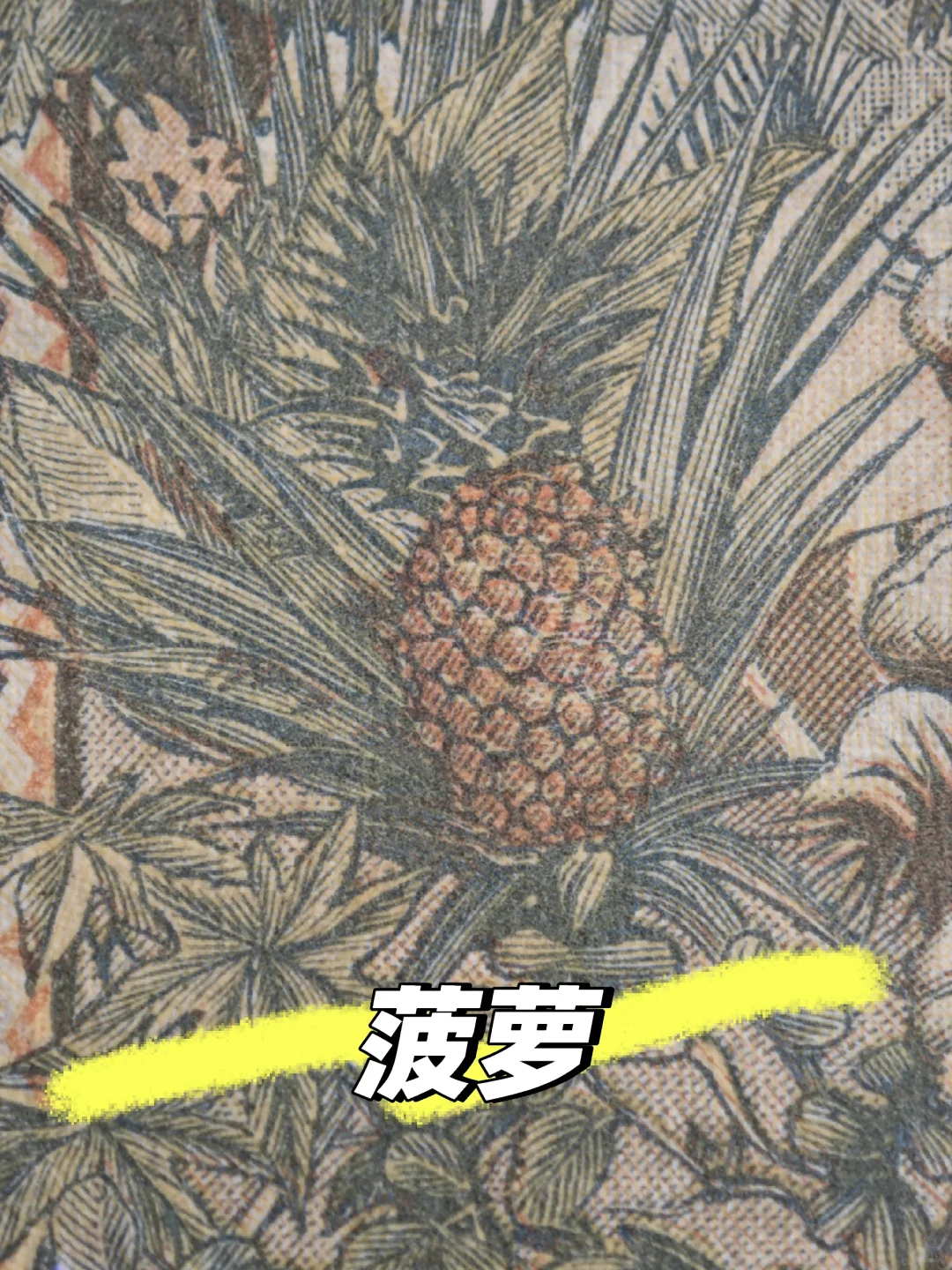 1965年1000西非法郎：一张经济作物大观园