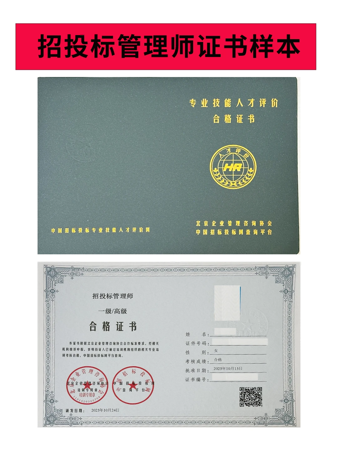 熬夜整理！招投标管理师证书拿到了！真的香