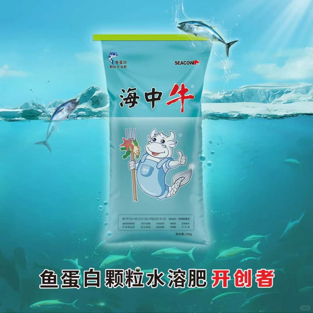 鱼蛋白颗粒水溶肥:开启绿色农业新篇章