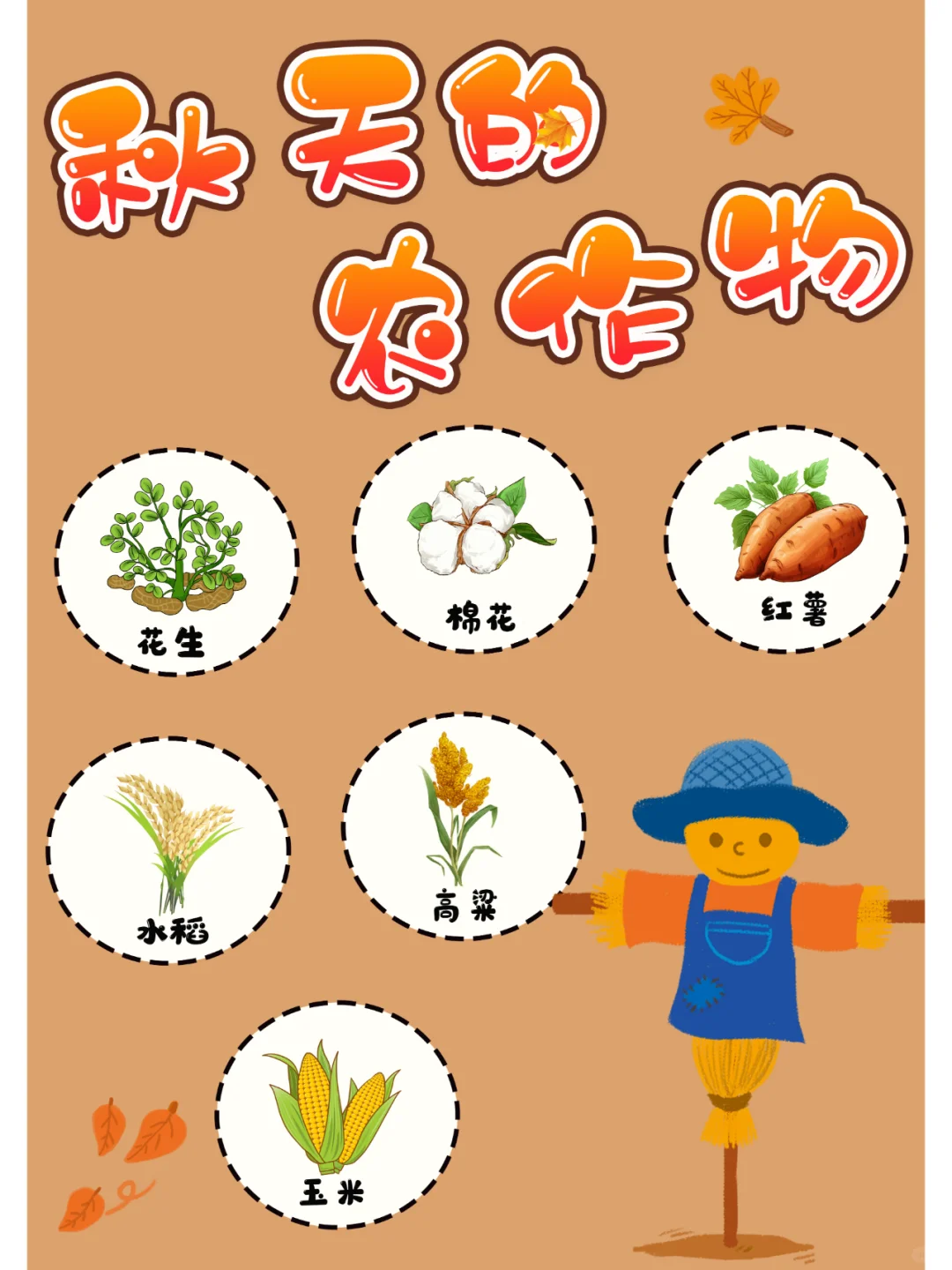 幼儿园环创素材|秋天的农作物