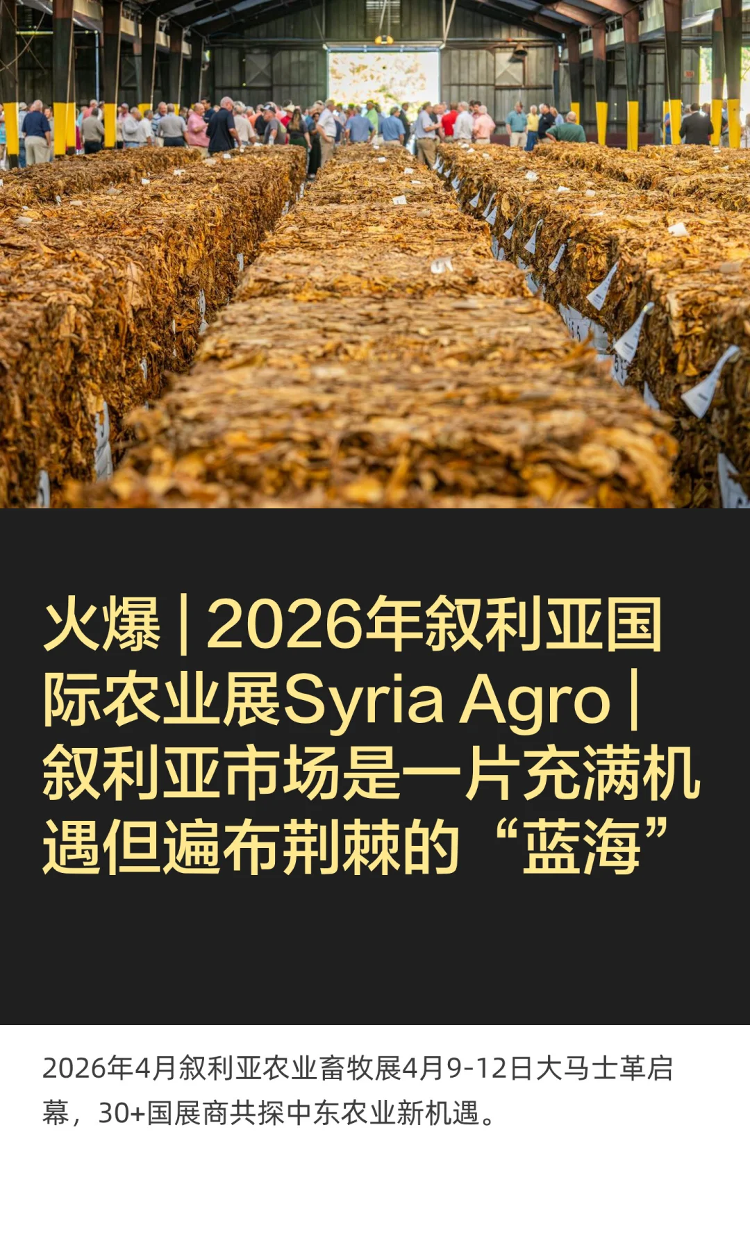 火爆 | 2026年叙利亚国际农业展Syria Agro