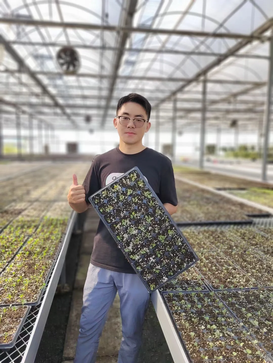 秋冬季可食用性景观植物