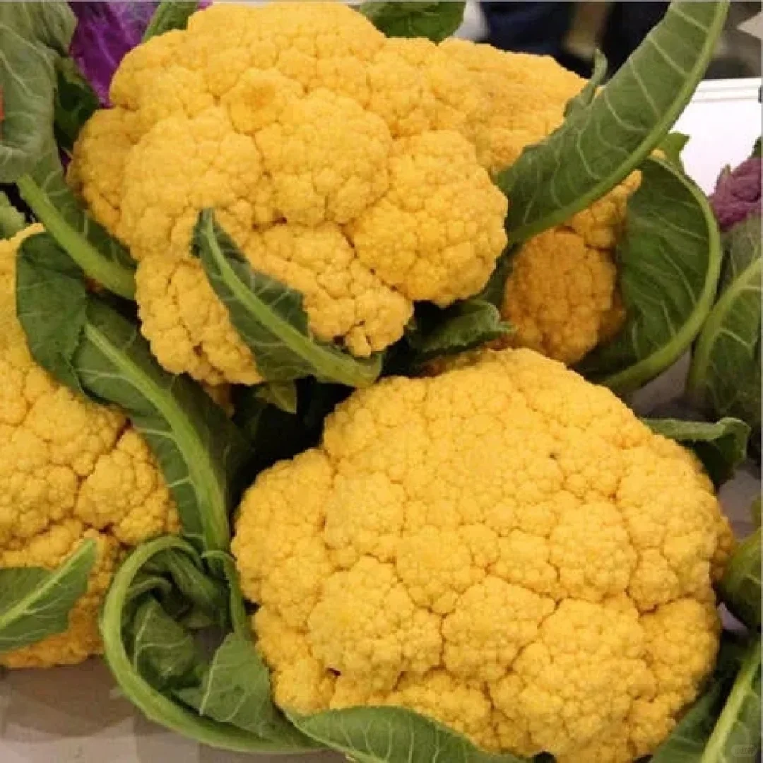 可食用景观植物产业