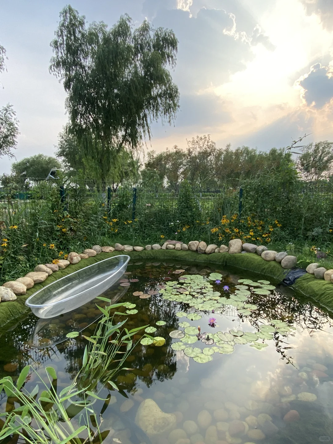 右划看臭水沟变身梦幻仙境