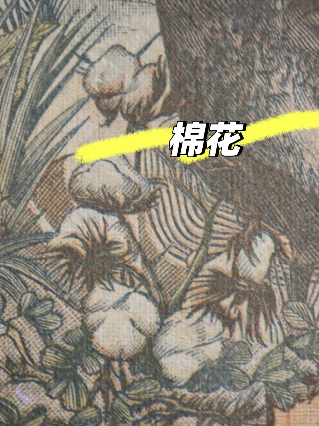 1965年1000西非法郎：一张经济作物大观园