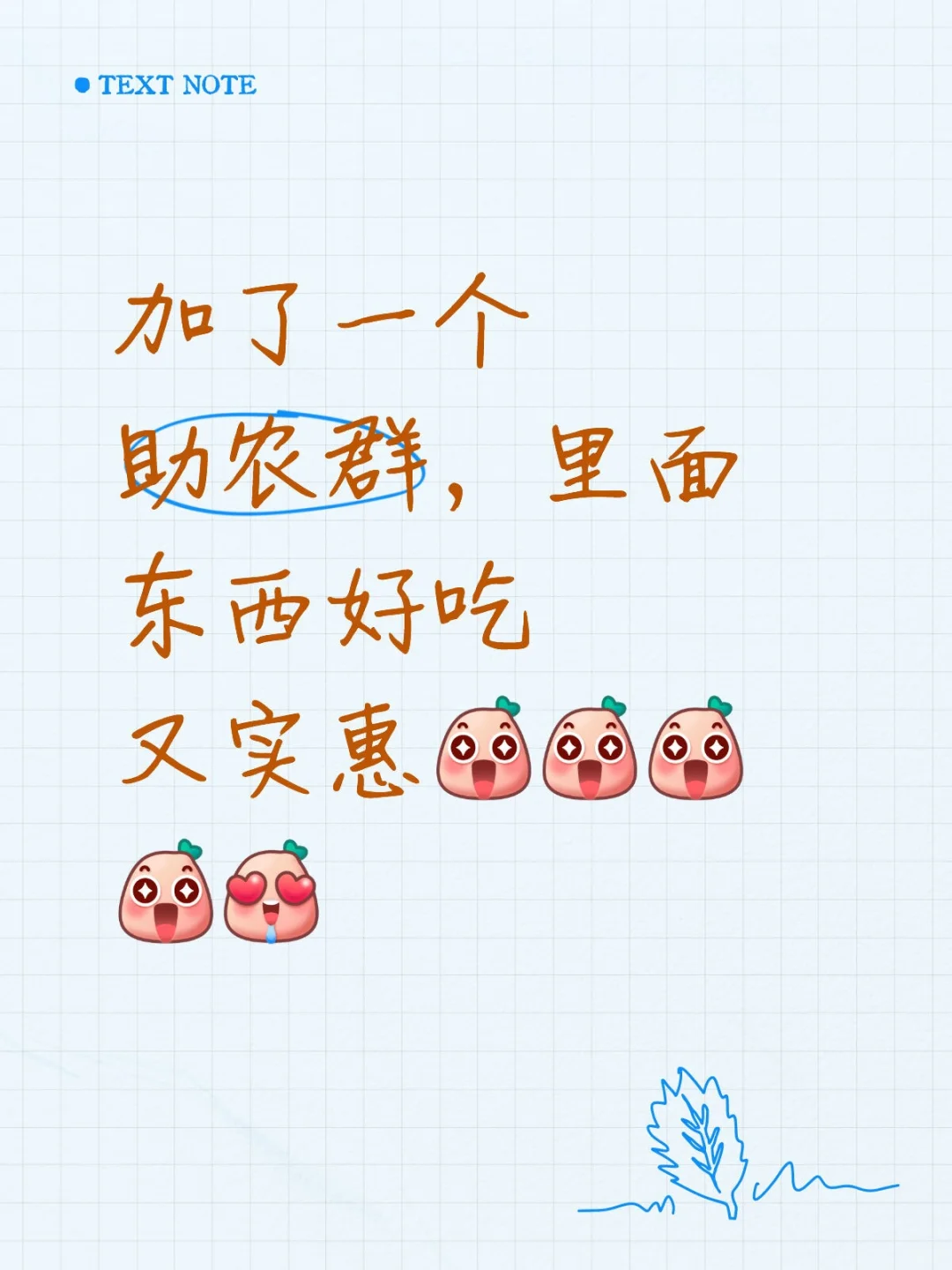 大家现在都喜欢吃啥助农产品??