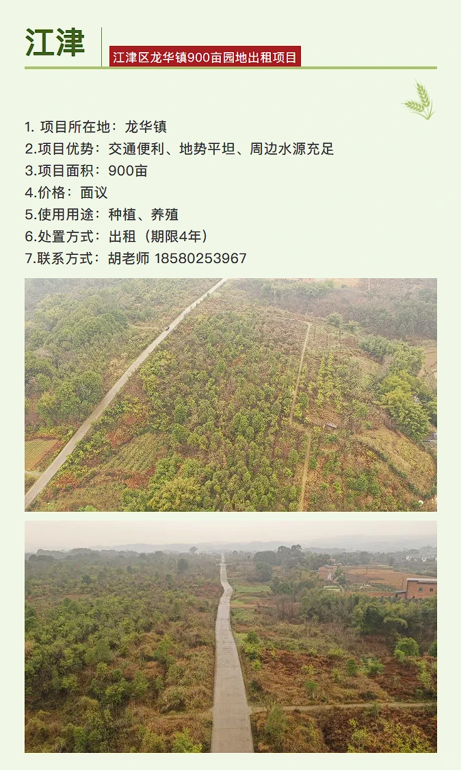 泸州 | “泸永江”农村资源要素机会清单