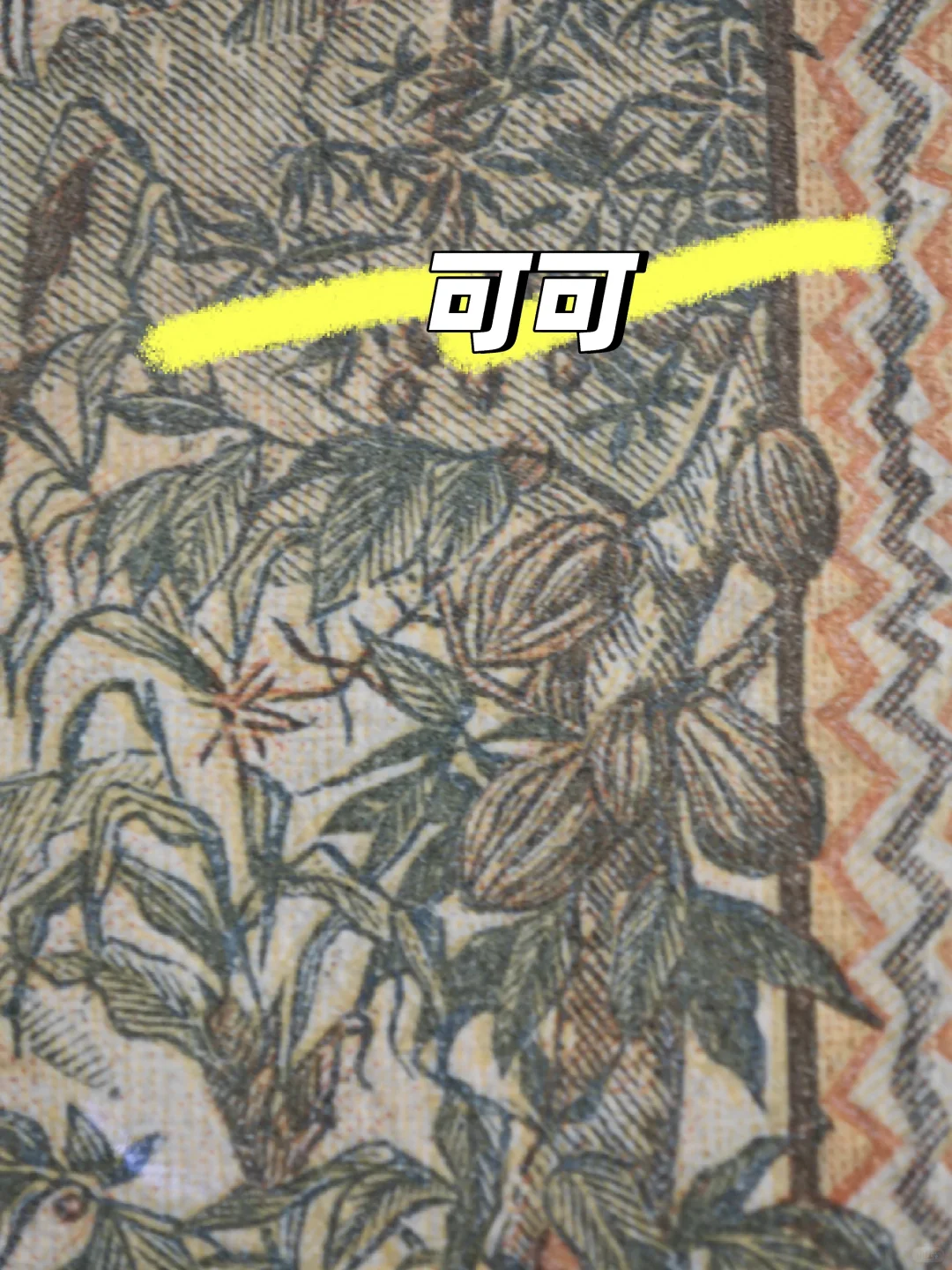 1965年1000西非法郎：一张经济作物大观园