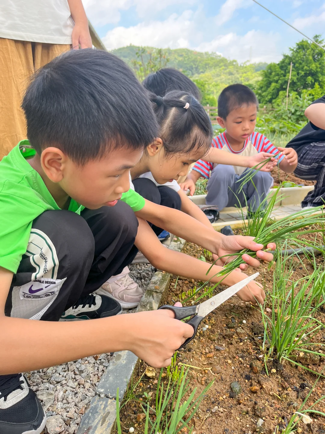 秋游 一起体验农耕 一起做饺子 一起采摘吧