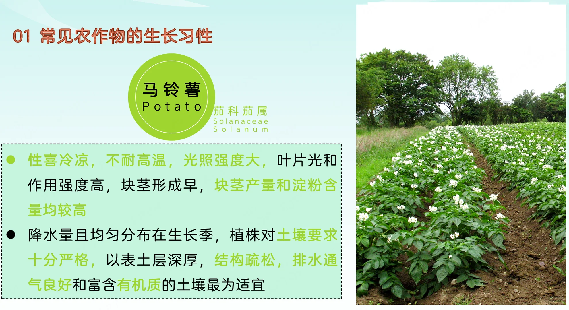 地理热点：常见农作物的生长习性