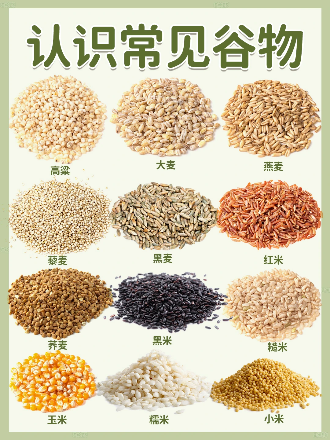 12种常见谷物的独特魅力与价值