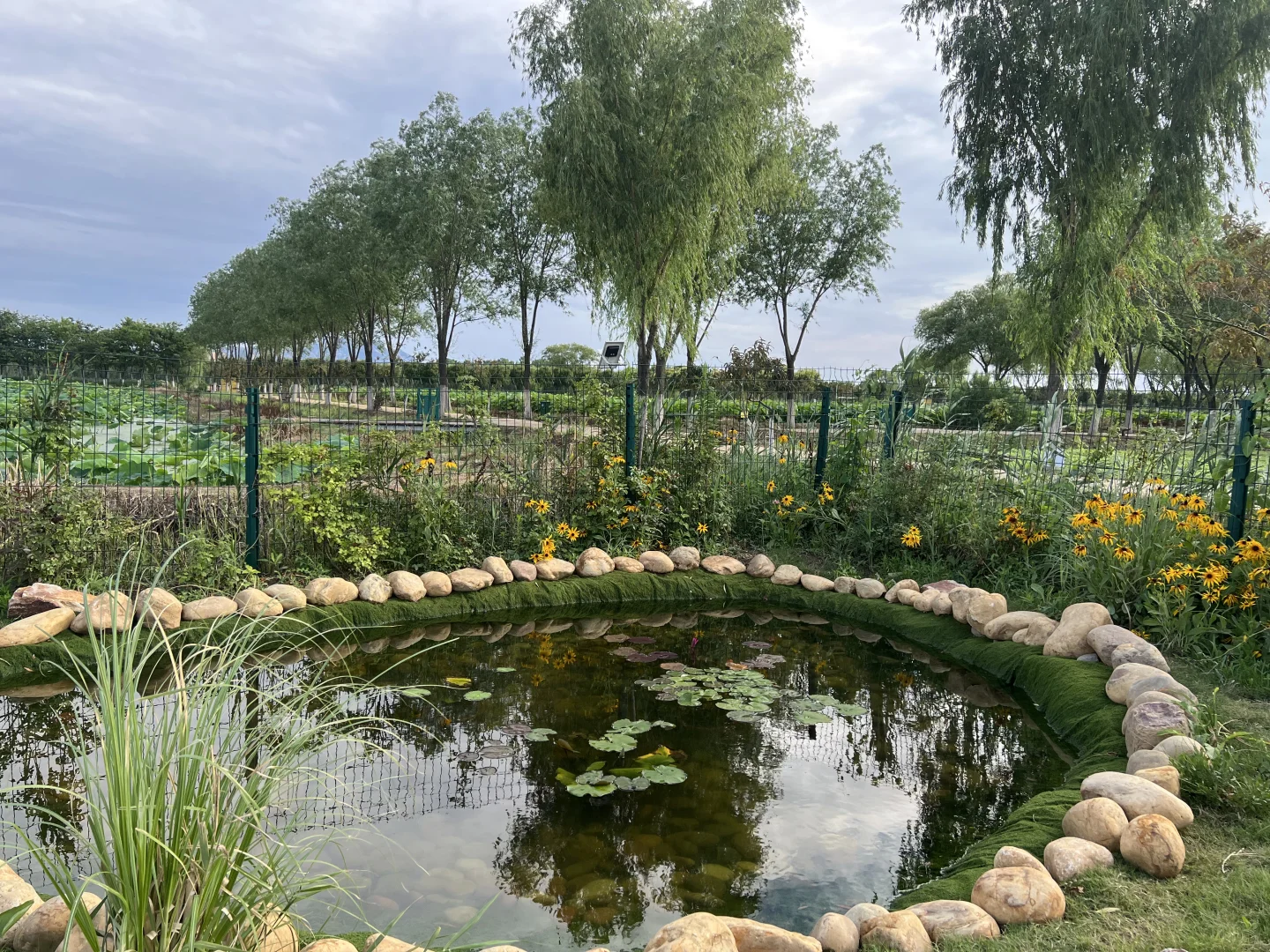 右划看臭水沟变身梦幻仙境