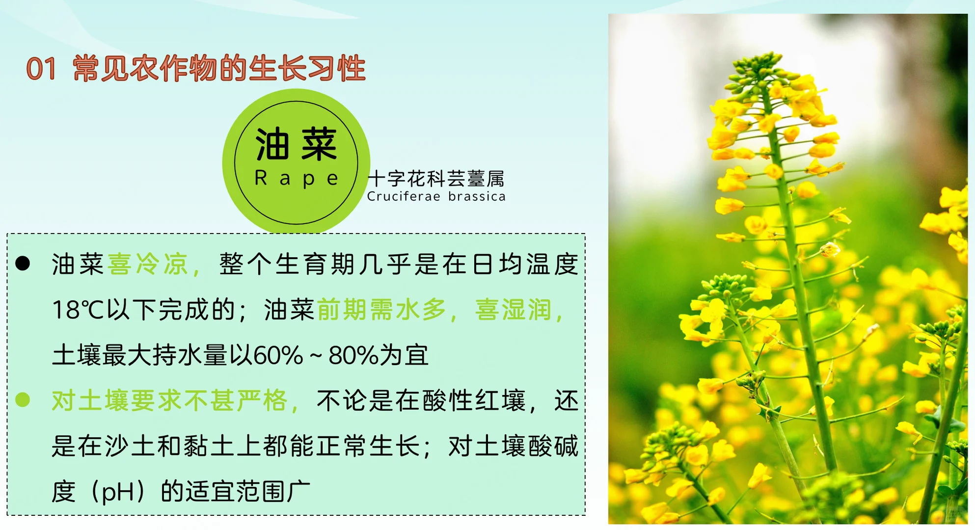 地理热点：常见农作物的生长习性