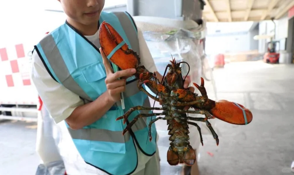 顺丰开通首条【加拿大-中国】航线