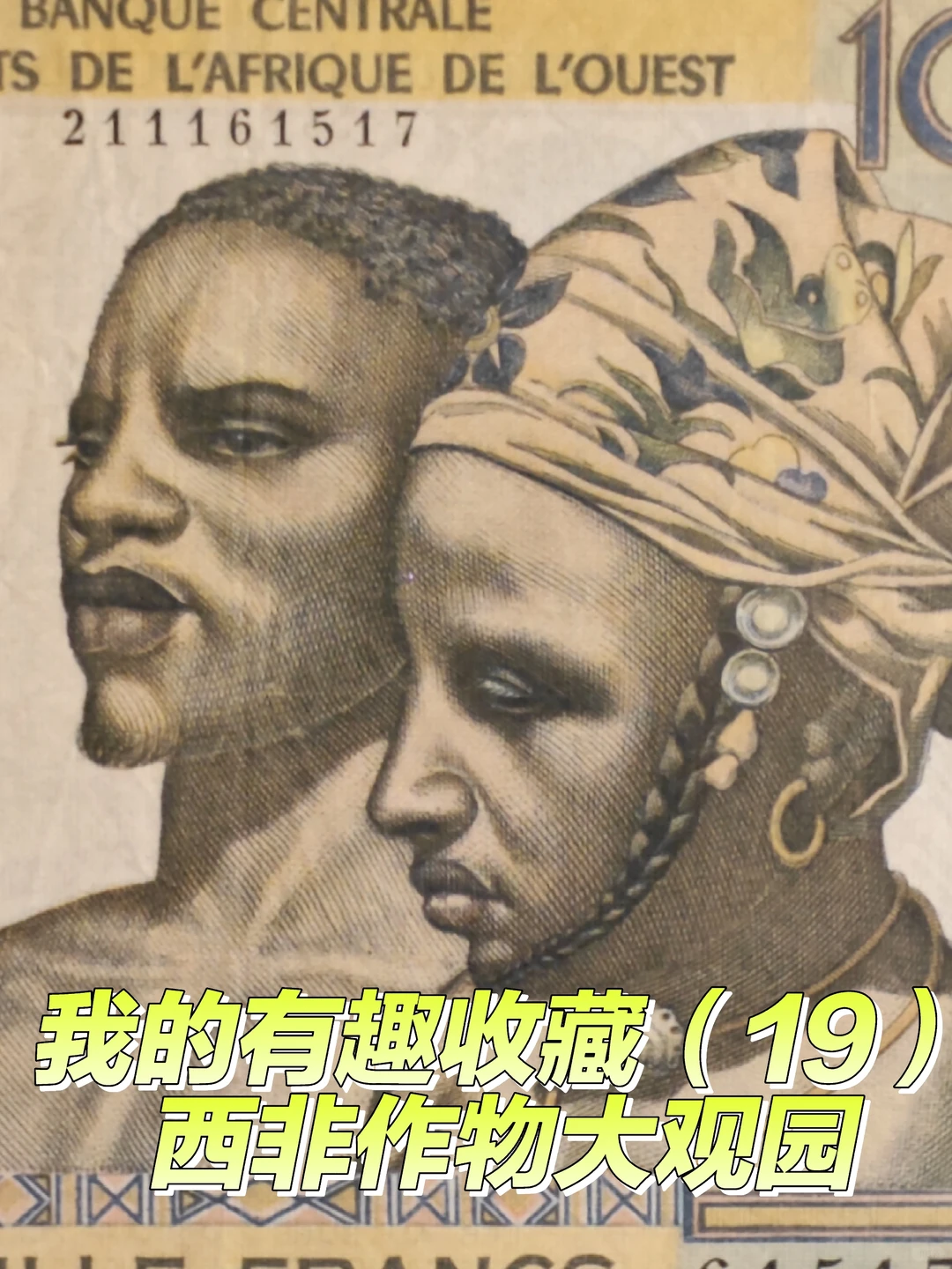 1965年1000西非法郎：一张经济作物大观园